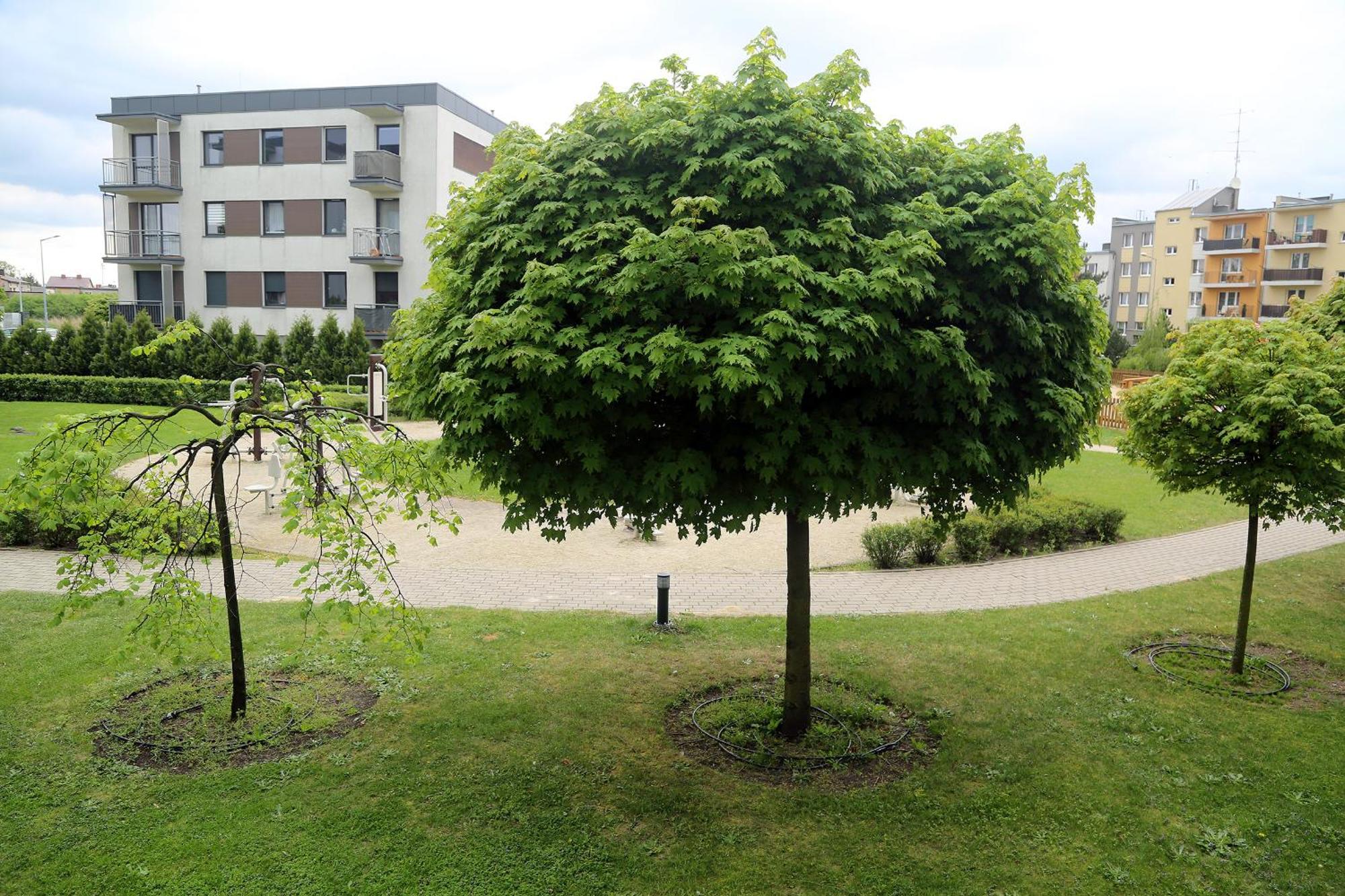 Apartamenty Uniejow "Prywatne Kapiele Termalne" Dış mekan fotoğraf